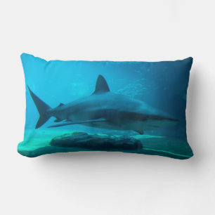 Dusky haai (Carcharhinus Obscurus), Ushaka Kussen