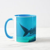Dusky haai (Carcharhinus Obscurus), Ushaka Mok (Links)