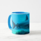 Dusky haai (Carcharhinus Obscurus), Ushaka Mok (Voorkant links)