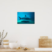 Dusky haai (Carcharhinus Obscurus), Ushaka Poster (Keuken)
