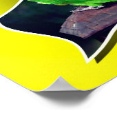 Dusky Headed Conure papegaai buiten de grenzen Poster (Hoek)