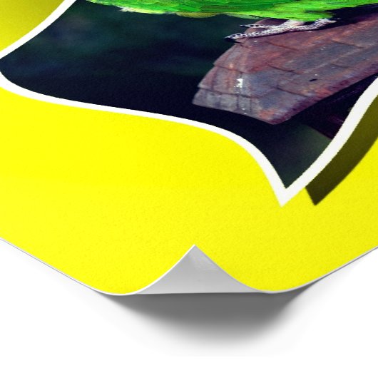 Dusky Headed Conure papegaai buiten de grenzen Poster (Hoek)