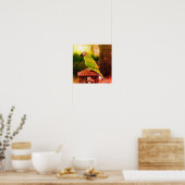 Dusky Headed Conure Parrot Abstract noodlijdend Poster (Keuken)