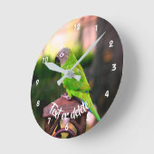 Dusky Headed Conure Parrot, speciaal aangepast Ronde Klok (Hoek)