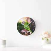 Dusky Headed Conure Parrot, speciaal aangepast Ronde Klok (Huis)