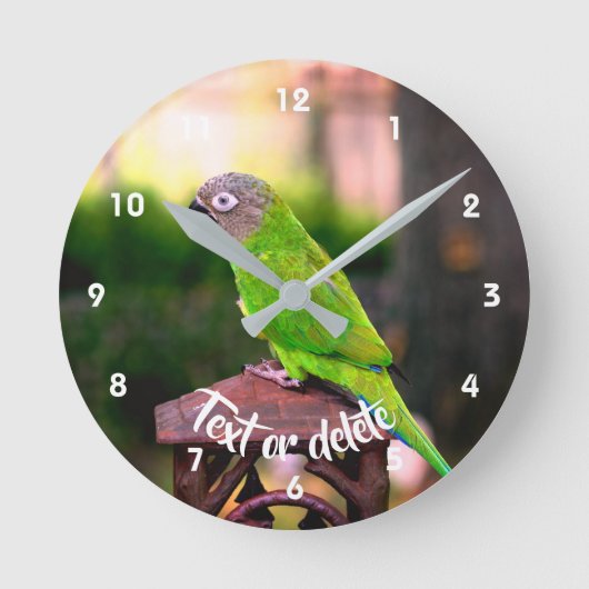 Dusky Headed Conure Parrot, speciaal aangepast Ronde Klok (Voorkant)