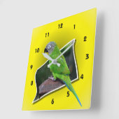 Dusky Headed Parrot Animal Vierkante Klok (Hoek)