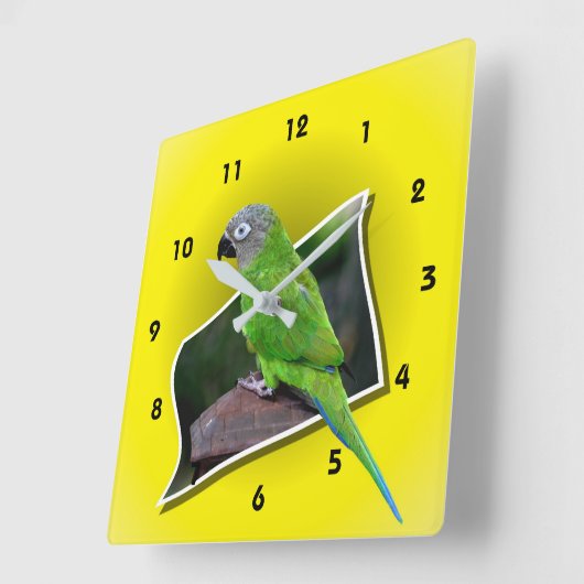 Dusky Headed Parrot Animal Vierkante Klok (Hoek)