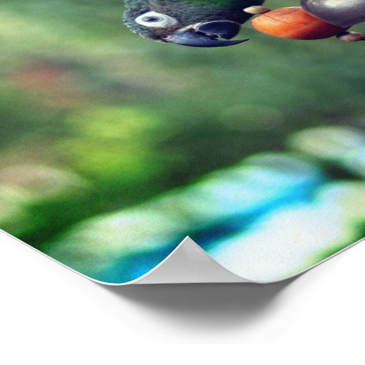 Dusky Headed Parrot onderaan Poster (Hoek)