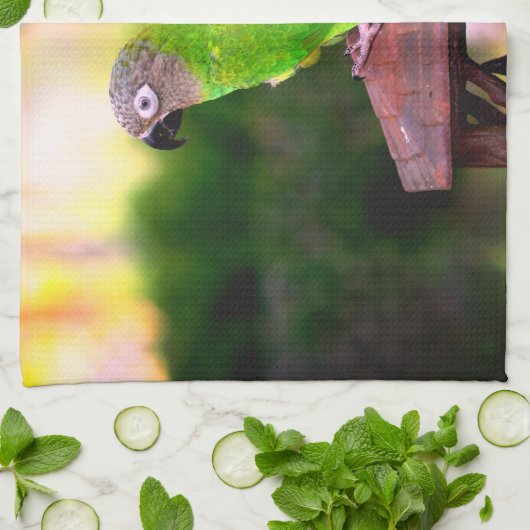 Dusky Headed Parrot Theedoek (Gevouwen)