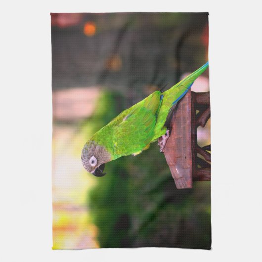 Dusky Headed Parrot Theedoek (Verticaal)