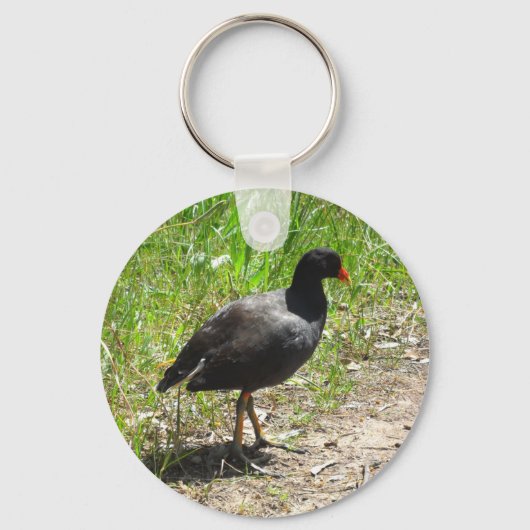Dusky Moorhen Sleutelhanger (Voorkant)