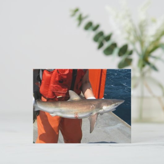 Dusky shark briefkaart (Staand voorkant)