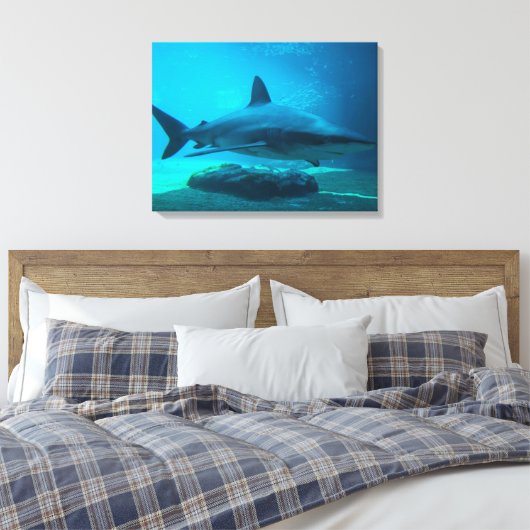 Dusky Shark (Carcharhinus Obscurus), Ushaka Canvas Afdruk (Insitu (Slaapkamer))