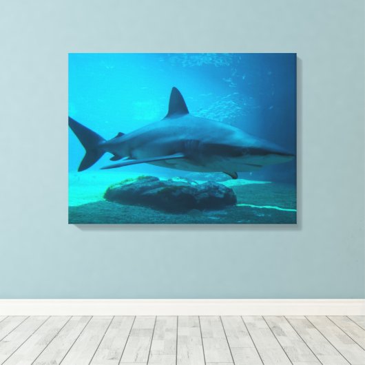 Dusky Shark (Carcharhinus Obscurus), Ushaka Canvas Afdruk (Insitu (Houten vloer))