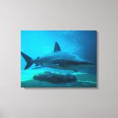 Dusky Shark (Carcharhinus Obscurus), Ushaka Canvas Afdruk (Voorkant)