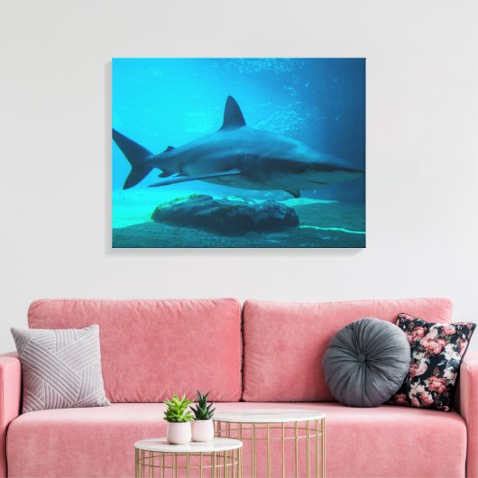 Dusky Shark (Carcharhinus Obscurus), Ushaka Canvas Afdruk (Insitu (Woonkamer))