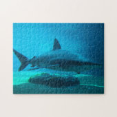 Dusky Shark (Carcharhinus Obscurus), Ushaka Legpuzzel (Horizontaal)