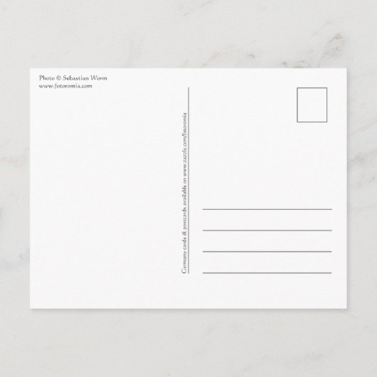 Dusseldorf Duitsland Briefkaart (Achterkant)