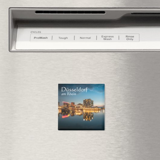 Düsseldorf Duitsland Souvenir Magneet (Insitu (Vaatwasser))