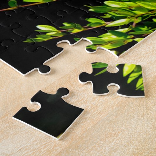 Düsseldorf Japanse tuinen. Legpuzzel (Zijkant)