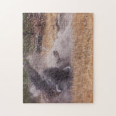 Dust Bathing American Bison Bull Wildlife Puzzle Legpuzzel (Verticaal)