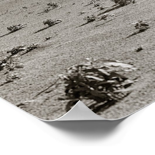 Dust Bowl Boerderij, 1938. foto Poster (Hoek)