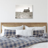 Dust Bowl-boerderij, 1938. Oude foto Canvas Afdruk (Insitu (Slaapkamer))