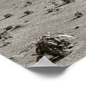 Dust Bowl-boerderij, 1938. Oude foto Poster (Hoek)