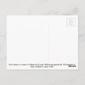 Dust Bowl Boerderij - Western Oklahoma 1936 Briefkaart (Achterkant)