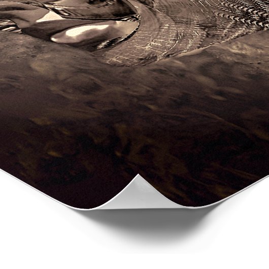 Duster (afdrukken) poster (Hoek)