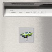 Duster magnet 1970 (Insitu (Vaatwasser))