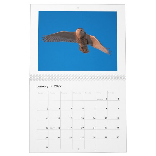 Dustin Gabriel Photography 2015 Calendar Kalender (Jan 2027)