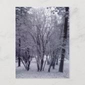 Dusting Briefkaart (Voorkant)