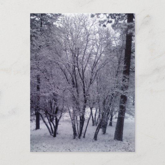 Dusting Briefkaart (Voorkant)