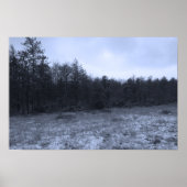 Dusting of Snow at the Bog Poster (Voorkant)