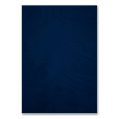 Dusty Blue Navy Champagne Ivoor Wedding Kaart (Achterkant)
