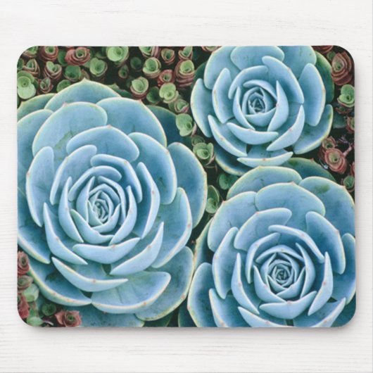 Dusty Blues Mousepad Muismat (Voorkant)