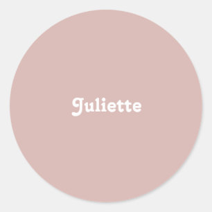 Dusty Blush Ronde Sticker