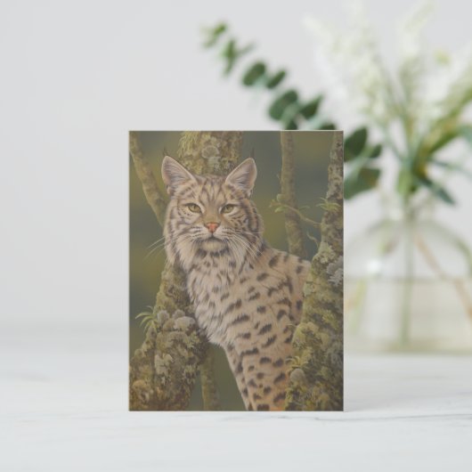 "Dusty" Bobcat Briefkaart (Staand voorkant)