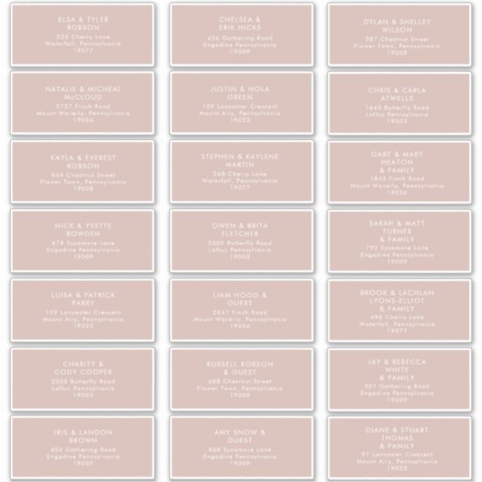 Dusty Boho | Roos gastAdresetiketten Sticker (Voorkant)