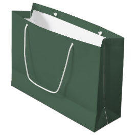Dusty Eucalyptus Green Solid Color Groot Cadeauzakje