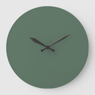 Dusty Eucalyptus Green Solid Color Grote Klok