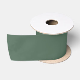 Dusty Eucalyptus Green Solid Color Satijnen Lint