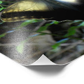 Dusty Gold Butterfly Foto Afdruk (Hoek)