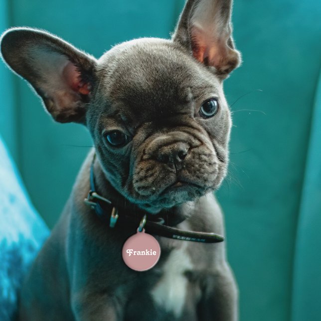 Dusty Mauve Retro Huisdierpenning (Creator heeft geüpload)