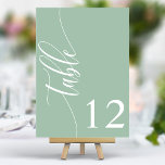 Dusty Mint Groen Moderne Kalligrafie Bruiloft Kaart<br><div class="desc">Leid uw gasten naar hun stoelen met deze chique elegante stoffige mintgroene trouwtafelnummers. Met een minimalistisch ontwerp met moderne kalligrafie, voegen deze tafelnummers een vleugje verfijning toe aan uw huwelijksreceptie. De zachte achtergrond en de schone, elegante typografie zorgen voor eenvoudige leesbaarheid en verbeteren tegelijkertijd uw bruiloft decor. Perfect voor elk...</div>