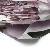 Dusty Pink Peony Bouquet Poster (Hoek)
