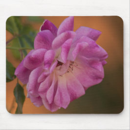 Dusty Pink Rose Muismat