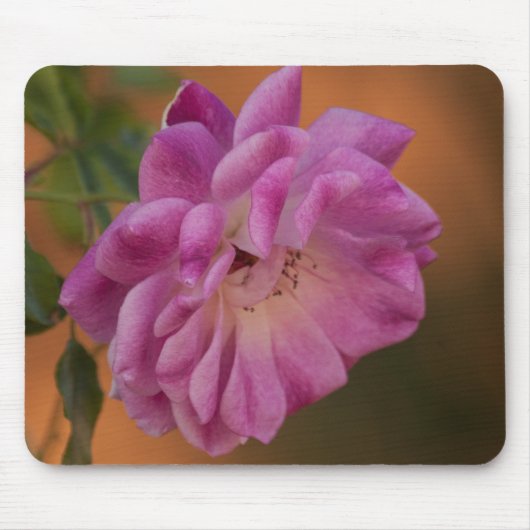 Dusty Pink Rose Muismat (Voorkant)